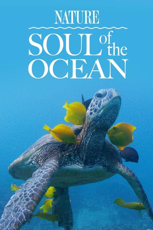 Soul of the ocean