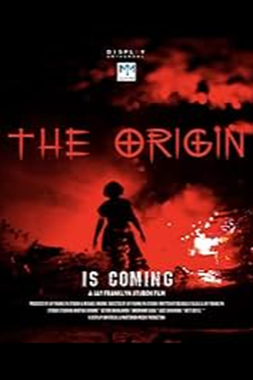 Nollywood Narratives: Moses Babatope on Nigeria's Film Landscape 9 The Origin Madam Koi Koi
