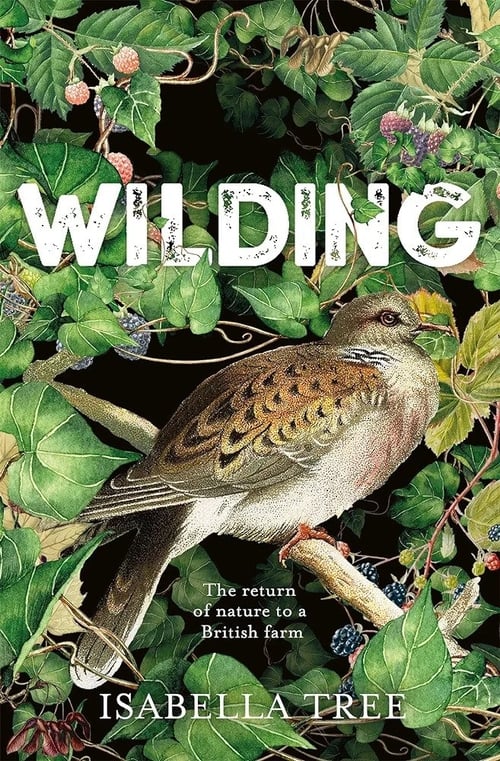 Wildling