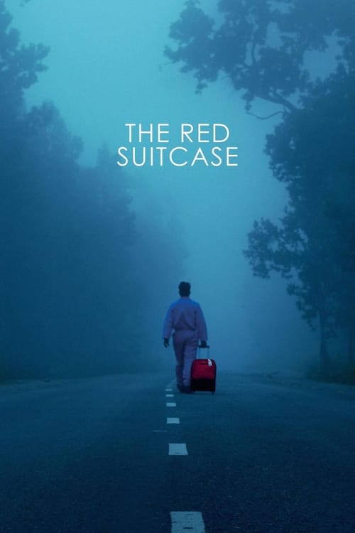 the red suitcase
