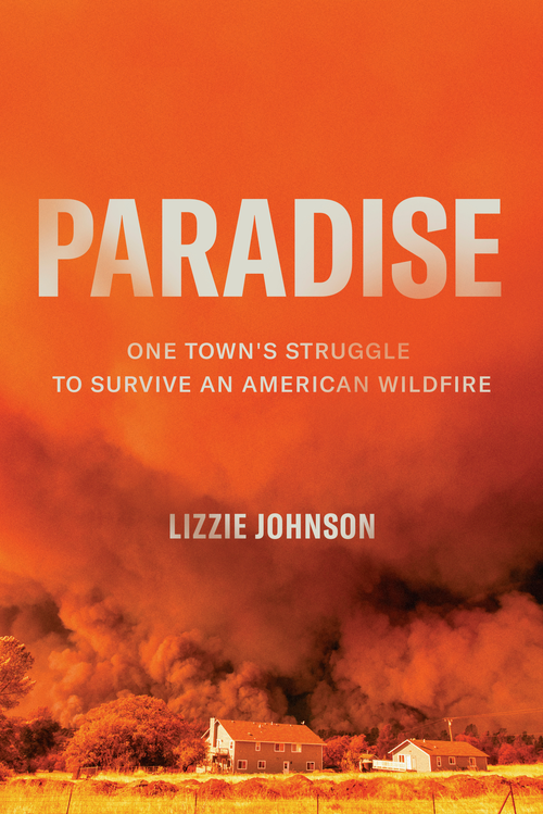 Paradise One Towns Struggle to Survive and American Wildfire