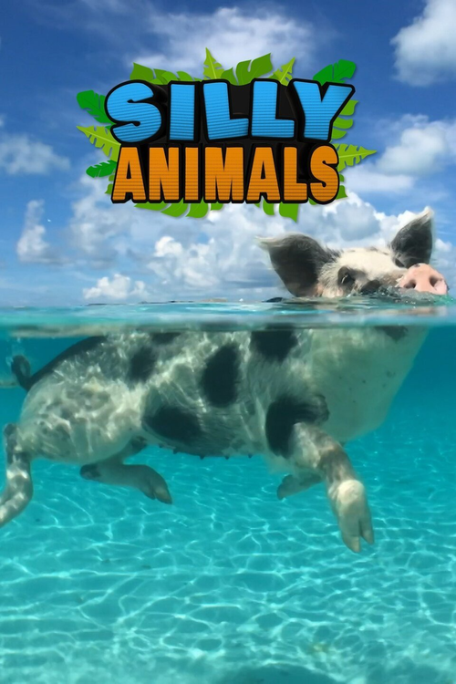 Silly Animals