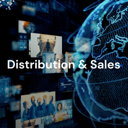 Top Film Distribution Companies in Turkmenistan