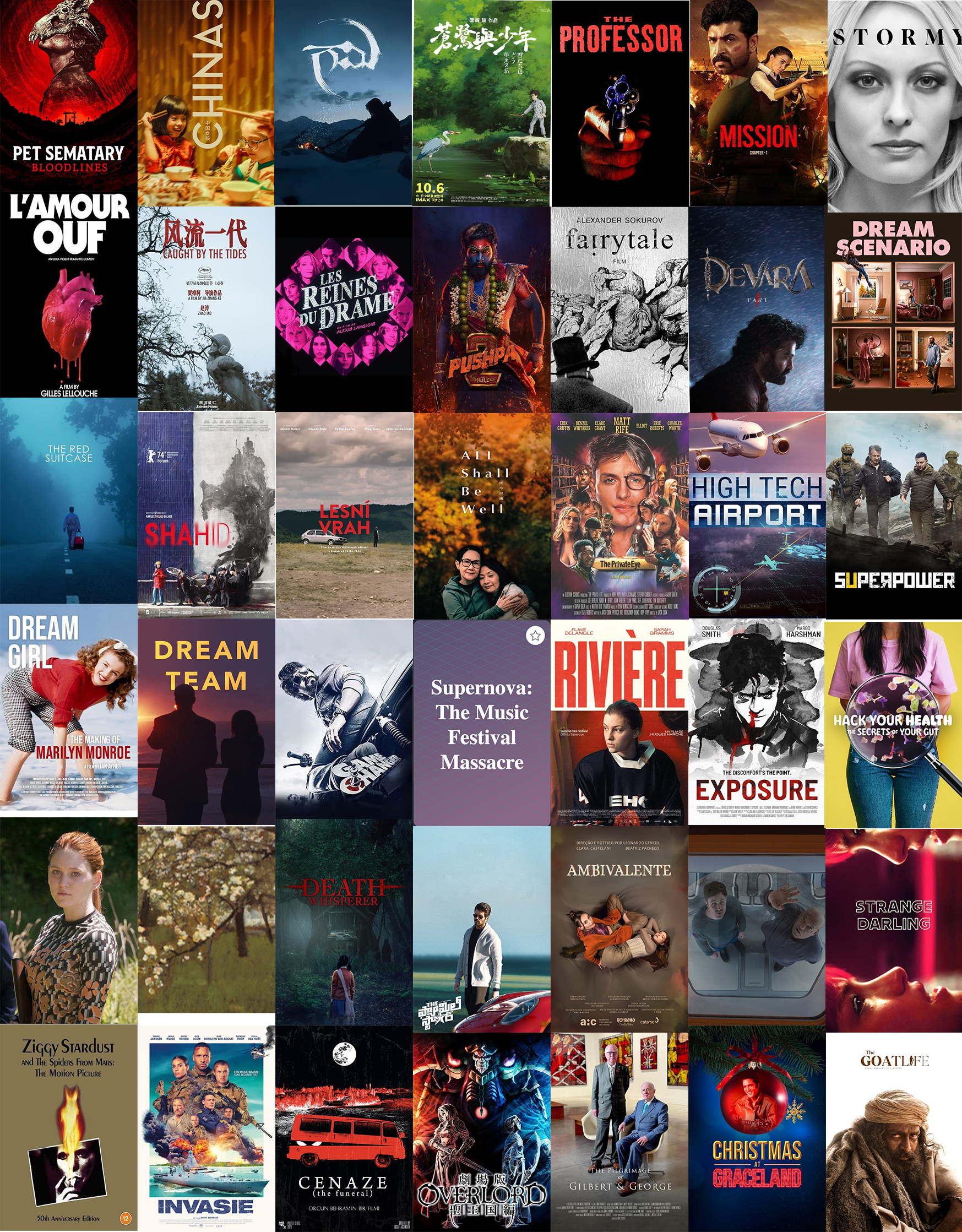 Film Distribution Company in Western Europe