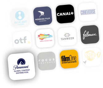 Film Distribution Company in Morocco